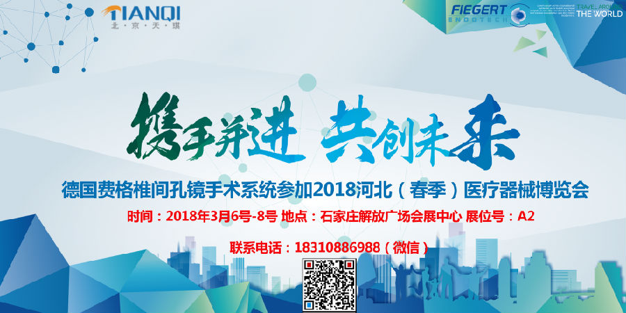 德國費(fèi)格椎間孔鏡