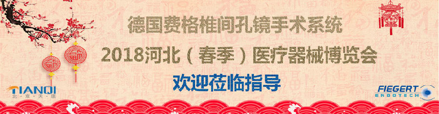 德國費(fèi)格椎間孔鏡